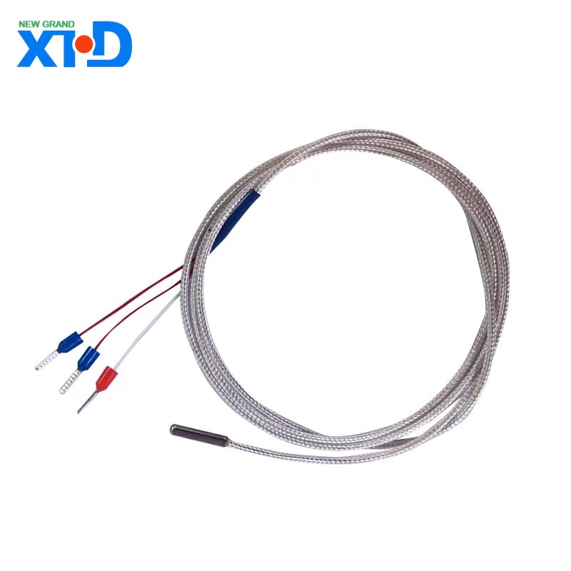 Đoàn nhiệt PT100
